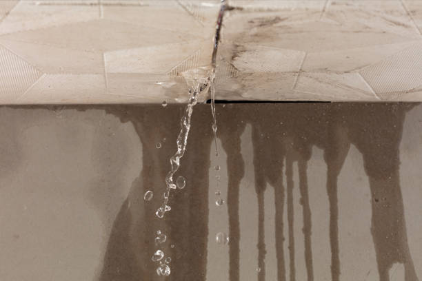 Professional Structural Drying technician working in West Islip, NY